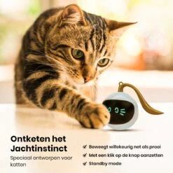 Otiume Slimme Katten Speeltje - Interactieve Zelf Rollende Bal Voor Katten - Kattenspeeltjes -Speelgoed Voor Dieren - USB Oplaadbaar -Kattenbenodigdheden Winkel 1200x1200 537