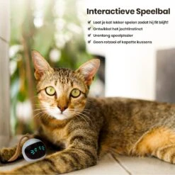 Otiume Interactieve Speelbal - Slimme Interactieve Jaag Speeltje Voor Katten - Kattenspeeltjes - Intelligente Jaagbal - AI -USB Oplaadbaar - LED - Blauw 15 Otiume Interactieve Speelbal - Slimme Interactieve Jaag Speeltje Voor Katten - Kattenspeeltjes - Intelligente Jaagbal - AI -USB Oplaadbaar - LED - Blauw -Kattenbenodigdheden Winkel 1200x1200 548