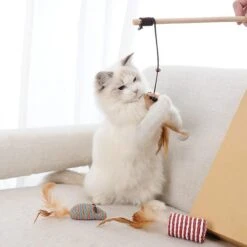 GIZMO Luxe Kattenspeeltjes Set - 7 Speeltjes - Interactieve Kattenhengel, Kattenspeelgoed & Speelmuisjes - Kitten Speeltjes -Kattenbenodigdheden Winkel 1200x1200 557