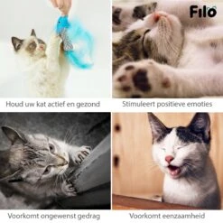 Filo Kattenhengel Set + 12 Kattenspeeltjes – Speelhengels Interactief Kattenspeelgoed – Hengel Kattenspeeltje Kittens - Speelgoed Speelhengel Vis Kat En Kitten -Kattenbenodigdheden Winkel 1200x1200 558