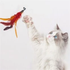 Merkloos Kattenhengel Met 10 Opzetstukjes - Kat Speelhengel Met Veren - Speelgoed Hengel Voor Katten – Kittenspeeltjes Met Veer – Kattenspeelgoed – Katten Speeltjes 12 Merkloos Kattenhengel Met 10 Opzetstukjes - Kat Speelhengel Met Veren - Speelgoed Hengel Voor Katten – Kittenspeeltjes Met Veer – Kattenspeelgoed – Katten Speeltjes -Kattenbenodigdheden Winkel 1200x1200 563