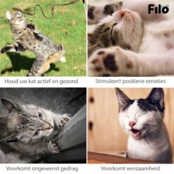 Filo Kattenspeelgoed Set 30 Stuks - Kattenspeeltje Kattentunnel - Kattenhengel - Kattenveertjes - Vis Met Kattenkruid - Kattenspeeltjes Intelligentie Kitten - Interactief Speelgoed Katten - Poezen Speeltjes -Kattenbenodigdheden Winkel 1200x1200 568