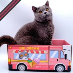 Make Me Purr Kattendoos Van Karton (Ice Cream) - Inclusief Kartonnen Krabmat - Speelgoed Doos Voor Katten Met Krab Mat - Kat Krabpaal Speeltje - Kattenbed Kattenmand Kattenhuis Kattentunnel - Kattenspeelgoed - Kattenspeeltjes - Kitten Speeltjes -Kattenbenodigdheden Winkel 1200x1200 579