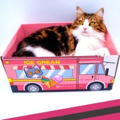 Make Me Purr Kattendoos Van Karton (Ice Cream) - Inclusief Kartonnen Krabmat - Speelgoed Doos Voor Katten Met Krab Mat - Kat Krabpaal Speeltje - Kattenbed Kattenmand Kattenhuis Kattentunnel - Kattenspeelgoed - Kattenspeeltjes - Kitten Speeltjes -Kattenbenodigdheden Winkel 1200x1200 580