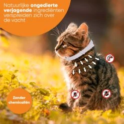 Nafurapets Vlooienband Voor Kat – Anti Vlooien – Teken Band – 100% Natuurlijk – 8 Maanden Bescherming – Grote & Kleine Kat -Kattenbenodigdheden Winkel 1200x1200 6