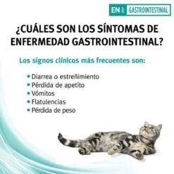 Pro Plan Veterinary Diets Feline Gastro-intestinal - Kattenvoer- 5kg -Kattenbenodigdheden Winkel 1200x1200 619