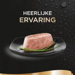 Sheba Perfect Portions Paté Katten Natvoer - Zalm - 48 Stuks -Kattenbenodigdheden Winkel 1200x1200 647