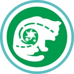 Purina One PURINA® ONE Indoor Rijk Aan Kalkoen & Volkoren Granen Brokjes 1,5 Kg -Kattenbenodigdheden Winkel 1200x1200 669