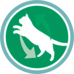 Purina One PURINA® ONE Indoor Rijk Aan Kalkoen & Volkoren Granen Brokjes 1,5 Kg -Kattenbenodigdheden Winkel 1200x1200 672