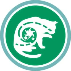 Purina One PURINA® ONE Indoor Rijk Aan Kalkoen & Volkoren Granen Brokjes 1,5 Kg -Kattenbenodigdheden Winkel 1200x1200 675