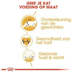 Royal Canin Maine Coon Adult - Kattenvoer - 10 Kg -Kattenbenodigdheden Winkel 1200x1200 698