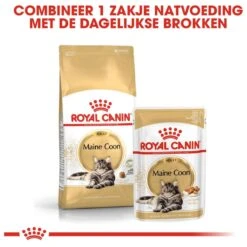 Royal Canin Maine Coon Adult - Kattenvoer - 10 Kg -Kattenbenodigdheden Winkel 1200x1200 699