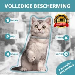 Biologische Vlooien- En Tekenband Voor Katten - BLAUW - Zonder Giftige Pesticiden - Veilig En Verantwoord -Kattenbenodigdheden Winkel 1200x1200 7