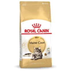 Royal Canin Maine Coon Adult - Kattenvoer - 10 Kg -Kattenbenodigdheden Winkel 1200x1200 702