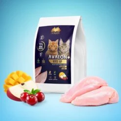 Avalon Petfood + Verse Kip Super Premium - Kattenvoer - 5Kg 8 Avalon Petfood + Verse Kip Super Premium - Kattenvoer - 5Kg -Kattenbenodigdheden Winkel 1200x1200 708