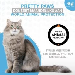 Pretty Paws PP002 Professionele Automatische Voerbak Kat- Stemrecorder - Voerautomaat - Katten Voerbak - Minimalistisch -Kattenbenodigdheden Winkel 1200x1200 75