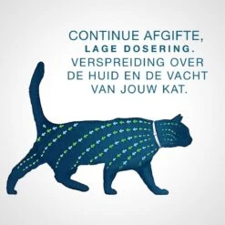 Seresto Teken- En Vlooienband - Anti Tekenmiddel - Kat - 38 Cm 31 Seresto Teken- En Vlooienband - Anti Tekenmiddel - Kat - 38 Cm -Kattenbenodigdheden Winkel 1200x1200 8