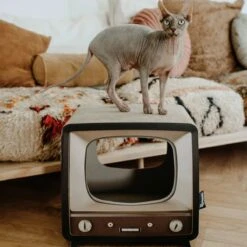 District 70 TELLY - Retro TV Krabmeubel - Instagrammable Kartonnen TV Voor Katten - 39 X 27 X 37 Cm 17 District 70 TELLY - Retro TV Krabmeubel - Instagrammable Kartonnen TV Voor Katten - 39 X 27 X 37 Cm -Kattenbenodigdheden Winkel 1200x1200 838