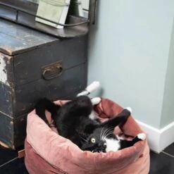 Designed By Lotte Fluco Kattenmand - Fluweel - Groen - 45x45x35 Cm -Kattenbenodigdheden Winkel 1200x1200 842