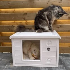 RHRQuality Kattenhuis Voor Binnen En Buiten Kattenhok Villa De Luxe Wit 60cm 12 RHRQuality Kattenhuis Voor Binnen En Buiten Kattenhok Villa De Luxe Wit 60cm -Kattenbenodigdheden Winkel 1200x1200 881