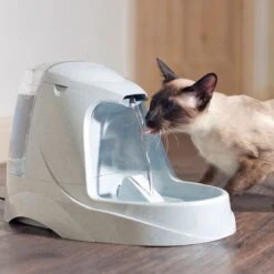 Petsafe Drinkwell Platinum - Drinkfontein - 5 L 24 Petsafe Drinkwell Platinum - Drinkfontein - 5 L -Kattenbenodigdheden Winkel 1200x1200 91