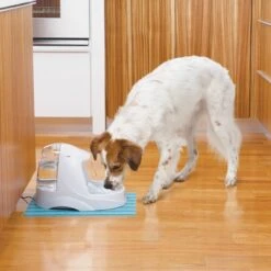 Petsafe Drinkwell Platinum - Drinkfontein - 5 L 30 Petsafe Drinkwell Platinum - Drinkfontein - 5 L -Kattenbenodigdheden Winkel 1200x1200 93