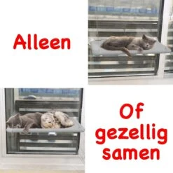 Merkloos Kattenhangmat - Kattenbed - Hangmat Kat Raam Ook Voor Radiator En Deur - Kattenmand Raam En Radiator - Katten Hangmat - Radiatorhangmat Kat Kattenstoel - Tijdelijk Met Extra Hangmat Hoes 18 Merkloos Kattenhangmat - Kattenbed - Hangmat Kat Raam Ook Voor Radiator En Deur - Kattenmand Raam En Radiator - Katten Hangmat - Radiatorhangmat Kat Kattenstoel - Tijdelijk Met Extra Hangmat Hoes -Kattenbenodigdheden Winkel 1200x1200 935