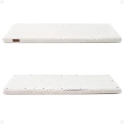 Kattenbenodigdheden Winkel 24 Kattenbenodigdheden Winkel -Kattenbenodigdheden Winkel 1200x1200 951