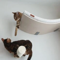 COSY AND DOZY Cat Shelf Deluxe WIT – Hangmat Kat – Maple Hout - 90 X 41 Cm - Kattenplank - Katten Muur 15 COSY AND DOZY Cat Shelf Deluxe WIT – Hangmat Kat – Maple Hout - 90 X 41 Cm - Kattenplank - Katten Muur -Kattenbenodigdheden Winkel 1200x1200 955