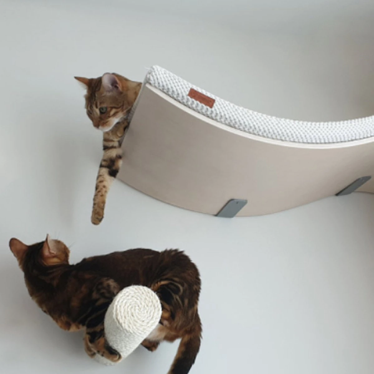 COSY AND DOZY Cat Shelf Deluxe WIT – Hangmat Kat – Maple Hout - 90 X 41 Cm - Kattenplank - Katten Muur 8 COSY AND DOZY Cat Shelf Deluxe WIT – Hangmat Kat – Maple Hout - 90 X 41 Cm - Kattenplank - Katten Muur - Afbeelding 6