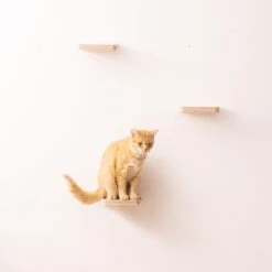 Navaris Katten Klimmuur 3 Tredes - 18 X 18 X 1,5 Cm Per Plankje - Katten Klimwand Van Hout - Inclusief Bevestigingsmateriaal -Kattenbenodigdheden Winkel 1200x1200 960