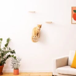 Navaris Katten Klimmuur 3 Tredes - 18 X 18 X 1,5 Cm Per Plankje - Katten Klimwand Van Hout - Inclusief Bevestigingsmateriaal -Kattenbenodigdheden Winkel 1200x1200 961