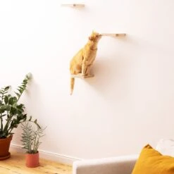 Navaris Katten Klimmuur 3 Tredes - 18 X 18 X 1,5 Cm Per Plankje - Katten Klimwand Van Hout - Inclusief Bevestigingsmateriaal -Kattenbenodigdheden Winkel 1200x1200 962