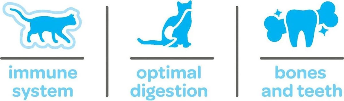 Smolke Kitten 4 Kg - Kat 19 Smolke Kitten 4 Kg - Kat - Afbeelding 17