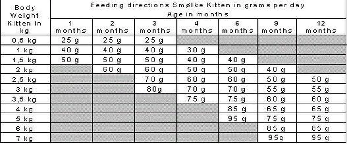 Smolke Kitten 4 Kg - Kat 22 Smolke Kitten 4 Kg - Kat - Afbeelding 20
