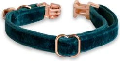 ACE Pets Kattenhalsband Met Belletje – Halsband Kat & Kitten - Kittenhalsband & Kattenbandje - Kattenbelletje - Pluche Velvet - Groen 10 ACE Pets Kattenhalsband Met Belletje – Halsband Kat & Kitten - Kittenhalsband & Kattenbandje - Kattenbelletje - Pluche Velvet - Groen -Kattenbenodigdheden Winkel 1200x611 2