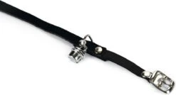 Beeztees Kattenbandje Suede - Zwart -Kattenbenodigdheden Winkel 1200x653