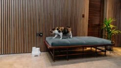 Cat Mate - Waterfontein Kat - Kattenfontein - Drinkfontein Kat - Fluisterstil - Poezen Fontein - Dieren Drinkbakken - Honden Fontein - 2 L -Kattenbenodigdheden Winkel 1200x675 1