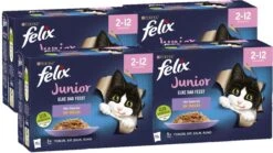 Felix Elke Dag Feest Mix Selectie In Gelei Junior - Katten Droogvoer - 48 X 85g -Kattenbenodigdheden Winkel 1200x676 1