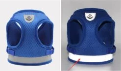 Merkloos Verstelbaar Kattentuigje Reflecterend - Kattenharnas - Kattentuig Met Looplijn - Blauw - Maat S -Kattenbenodigdheden Winkel 1200x708 1