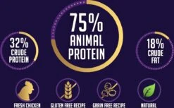 Avalon Petfood + Verse Kip Super Premium - Kattenvoer - 5Kg 7 Avalon Petfood + Verse Kip Super Premium - Kattenvoer - 5Kg -Kattenbenodigdheden Winkel 1200x745