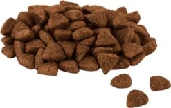 Perfect Fit Adult 1+ Katten Droogvoer - Kip - 7kg -Kattenbenodigdheden Winkel 1200x765 3