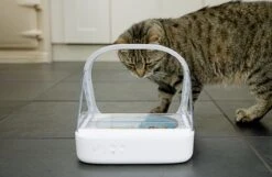 Surefeed Microchip Pet Feeder - Voerbak - 30 X 23 X 22 Cm 27 Surefeed Microchip Pet Feeder - Voerbak - 30 X 23 X 22 Cm -Kattenbenodigdheden Winkel 1200x780 2