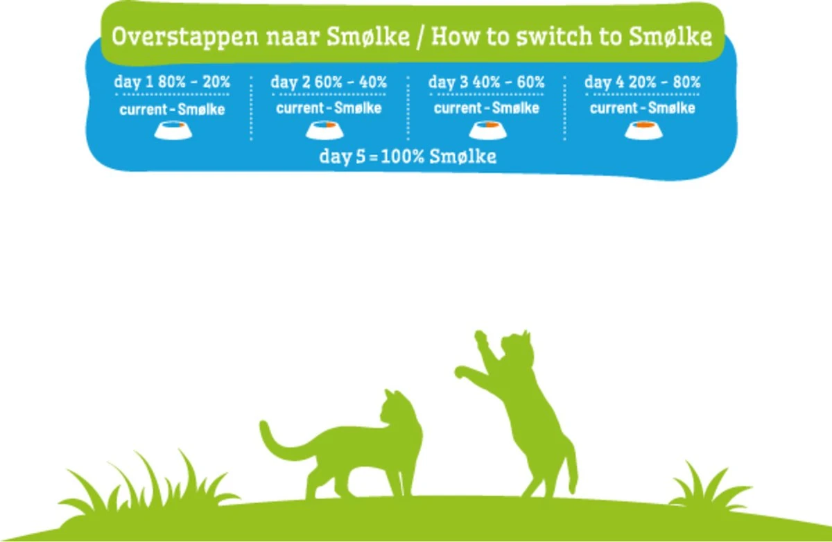 Smolke Kitten 4 Kg - Kat 11 Smolke Kitten 4 Kg - Kat - Afbeelding 9