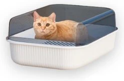 Merkloos Kattenbak - Zwart - Open - Incl. Schep - Modern - Hip - Trendy - Design Kattenbak 14 Merkloos Kattenbak - Zwart - Open - Incl. Schep - Modern - Hip - Trendy - Design Kattenbak -Kattenbenodigdheden Winkel 1200x793