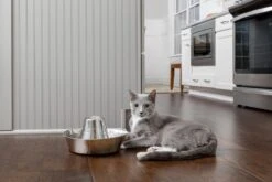 PetSafe® Seaside Stainless Steel Pet Fountain - RVS Drinkfontein Voor Katten En Kleine Honden - Water Borrelt Zacht Over De Toren - Door Het Design Van Alle Kanten Bereikbaar - 1,8 Liter - PetSafe Seaside -Kattenbenodigdheden Winkel 1200x800 5