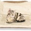 Kattenhangmat - Voor Aan Het Raam - Kattenmand - Raam - Hangmat Kat - Dieren - Kattenbed - Kattenmand - Slaapplek - Ligplaats -Kattenbenodigdheden Winkel 1200x801 4
