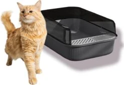 Merkloos Kattenbak - Zwart - Open - Incl. Schep - Modern - Hip - Trendy - Design Kattenbak 13 Merkloos Kattenbak - Zwart - Open - Incl. Schep - Modern - Hip - Trendy - Design Kattenbak -Kattenbenodigdheden Winkel 1200x823 1