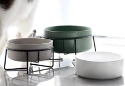 GIZMO 2x Voerbak Kat - 400 Ml - Groen - Keramische Drink- & Voerbakken Met Standaard - 13 Cm - 2 Stuks 25 GIZMO 2x Voerbak Kat - 400 Ml - Groen - Keramische Drink- & Voerbakken Met Standaard - 13 Cm - 2 Stuks -Kattenbenodigdheden Winkel 1200x823