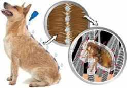 Beaphar DIMETHIcare Line On Kat - Vlooienbestrijding - 6 Pipetten -Kattenbenodigdheden Winkel 1200x831